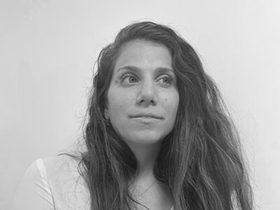 שירותים משלימים